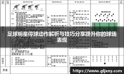 足球明星停球动作解析与技巧分享提升你的球场表现