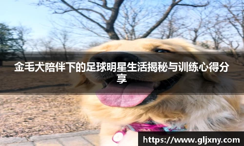 金毛犬陪伴下的足球明星生活揭秘与训练心得分享